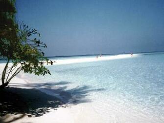Tropical Beach Wallpaper Desktop