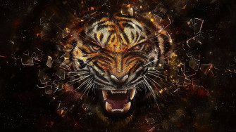 Awesome Wallpaper