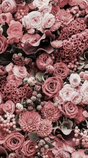 Flowers Pink Fondecran Blumen Hintergrund
