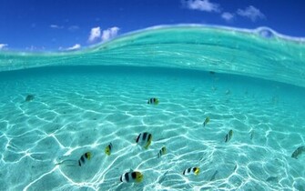 Incredible Collection Of Beach Wallpaper Funpulp