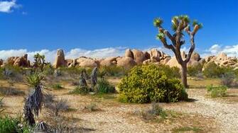 Desert Computer Wallpaper Desktop Background Id