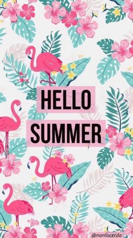 Hello Summer Wallpaper For Mobile Phone Tablet Desktop Computer