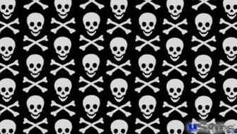 Skull Crossbones Pattern Decal Style Skin Fits Sony Ps Vita