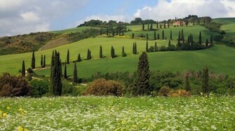 Tuscany Hill X Locality Photography Miriadna