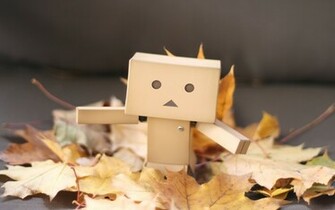 Misc Danbo Wallpaper