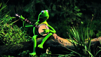Kermit The Frog Wallpaper