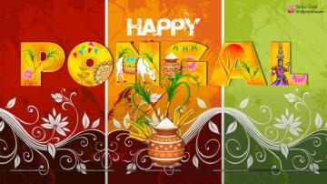 Happy Thai Pongal Wallpaper