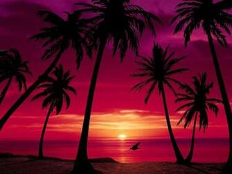 Is One Of The Most Ed Windows Screensavers For