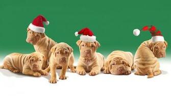 Christmas Wallpaper Compilation