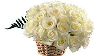 Beautiful White Roses In A Basket Wallpaper And Image