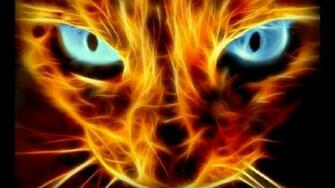 Fractals Wallpaper Animals Cats HD Desktop