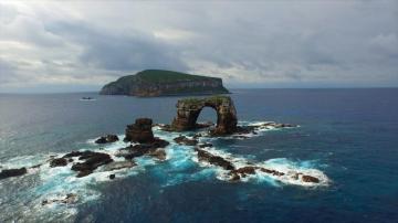 Galapagos Islands Wolf And Darwin Home To Largest Shark Biomass In