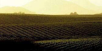 Farm Background By Griffithsmatthew