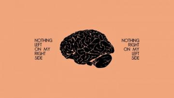 Brain Wallpaper Notebook Computer Desktop