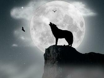 Howling Wolf Wallpaper