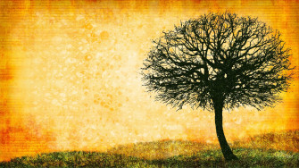 Tree Wallpaper Art