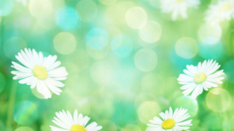 Revitalise Your Brand Business Resolutions For A New Year Refresh