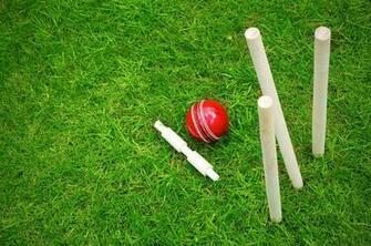 Cricket Wallpaper