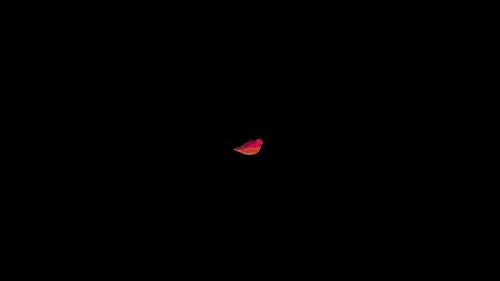 Mind Bending Gif Image Pics I Like To Waste My Time