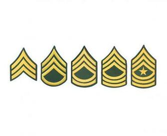 New Army Nco Eval S For Each Rank Aim To Stop Promotion