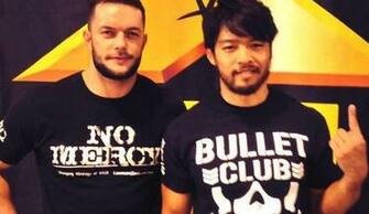 Pin Wwe Finn Balor