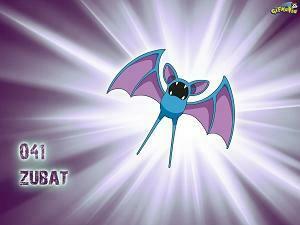Zubat Wallpaper
