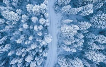Wallpaper Nature Winter Landscape Snow Trees Image For