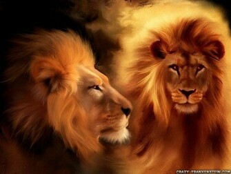 Beautiful Wallpaper Amazing Wildlife