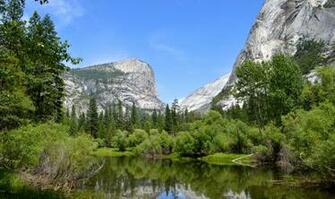 Yosemite Wallpaper Nature Forest 5k