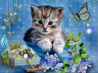 Gato En Primavera Wallpaper