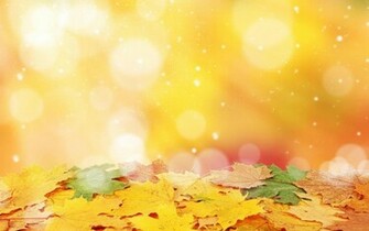 Bright Sunny Day In Autumn Hq Wallpaper