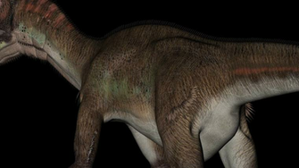 Detail Of Body Utahraptor Dinosaur In Rotation On Black