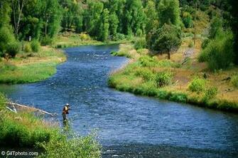 Fly Fishing Articles Insects By Common Name Trout Streams Rivers