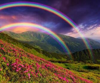 Nature Landscape Mountain Flower Rainbow Mountains Flowers