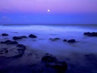 Mist Wallpaper You Are Ing The Nature Named Island