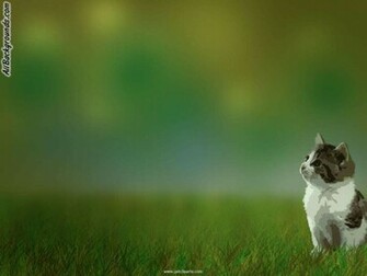 Cat Background Myspace