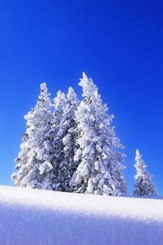 iPhone 4s Wallpaper Winter For