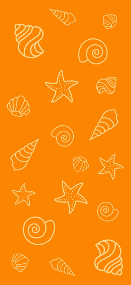 Plain Aesthetic Wallpaper