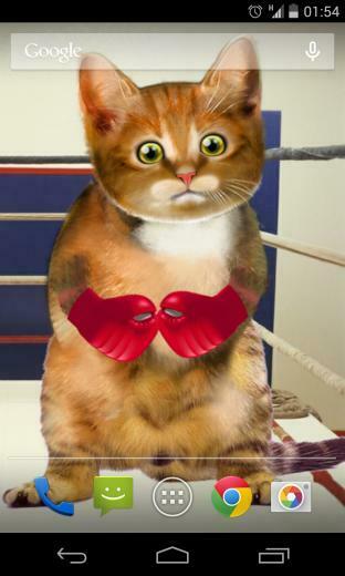 Awesome And Cat Wallpaper For Android