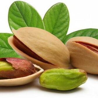 Nuts iPad Background Best Wallpaper