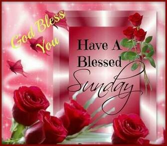 Pics Photos Good Morning And Happy Sunday Wallpaper