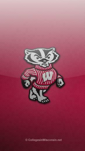 Wisconsin Badgers iPhone Wallpaper Colleges In