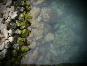 Mind Relaxing Wallpaper