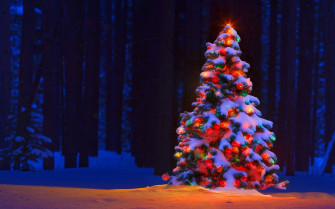 Christmas Tree Wallpaper Image Photos Picture