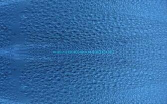 High Definition HD Desktop Windows Xp Wallpaper Jpg