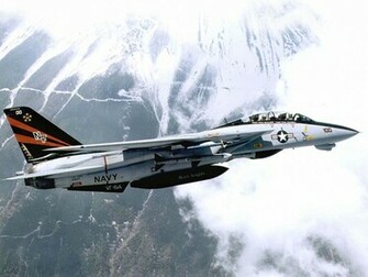 Tomcat Wallpaper X