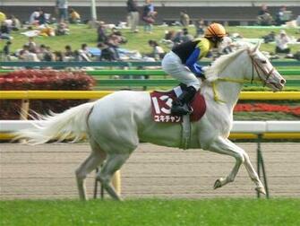 Wallpaper S For Mobile And Pc Race Horses Image