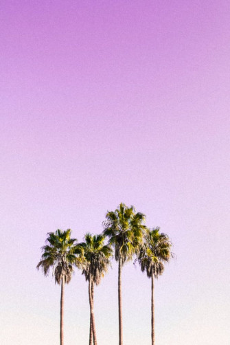 Cute Wallpaper Girly Pretty iPhone Background