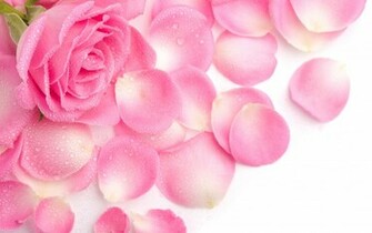 Love Pink Wallpaper Which Is Under The