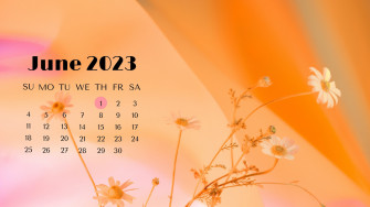 And Customizable Summer Desktop Wallpaper Templates